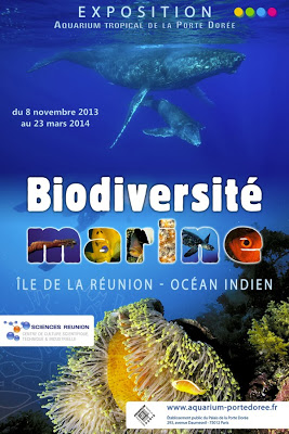 expo-BiodiversitC3A9-marine-reunion.jpg