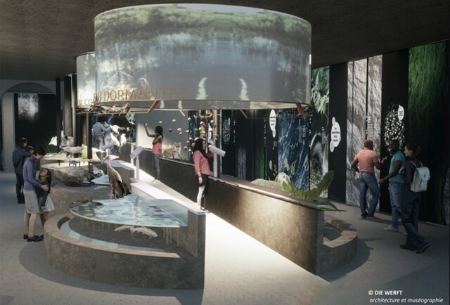 BOUVARD 2025 MuséeCourdOr IMG2