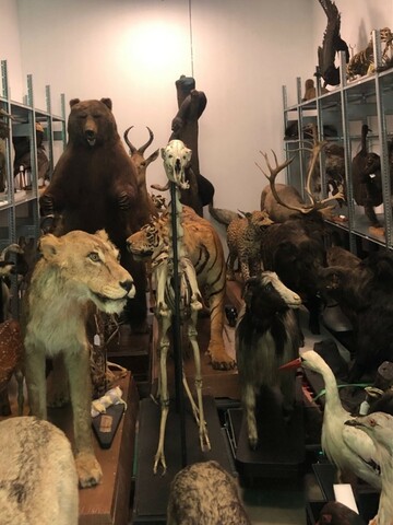 Une des réserves à atmosphère contrôlée du musée de La Cour d’Or de Metz © SB