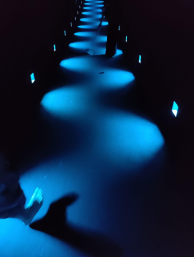 SCHRIVER 2024 Pied il IMG2