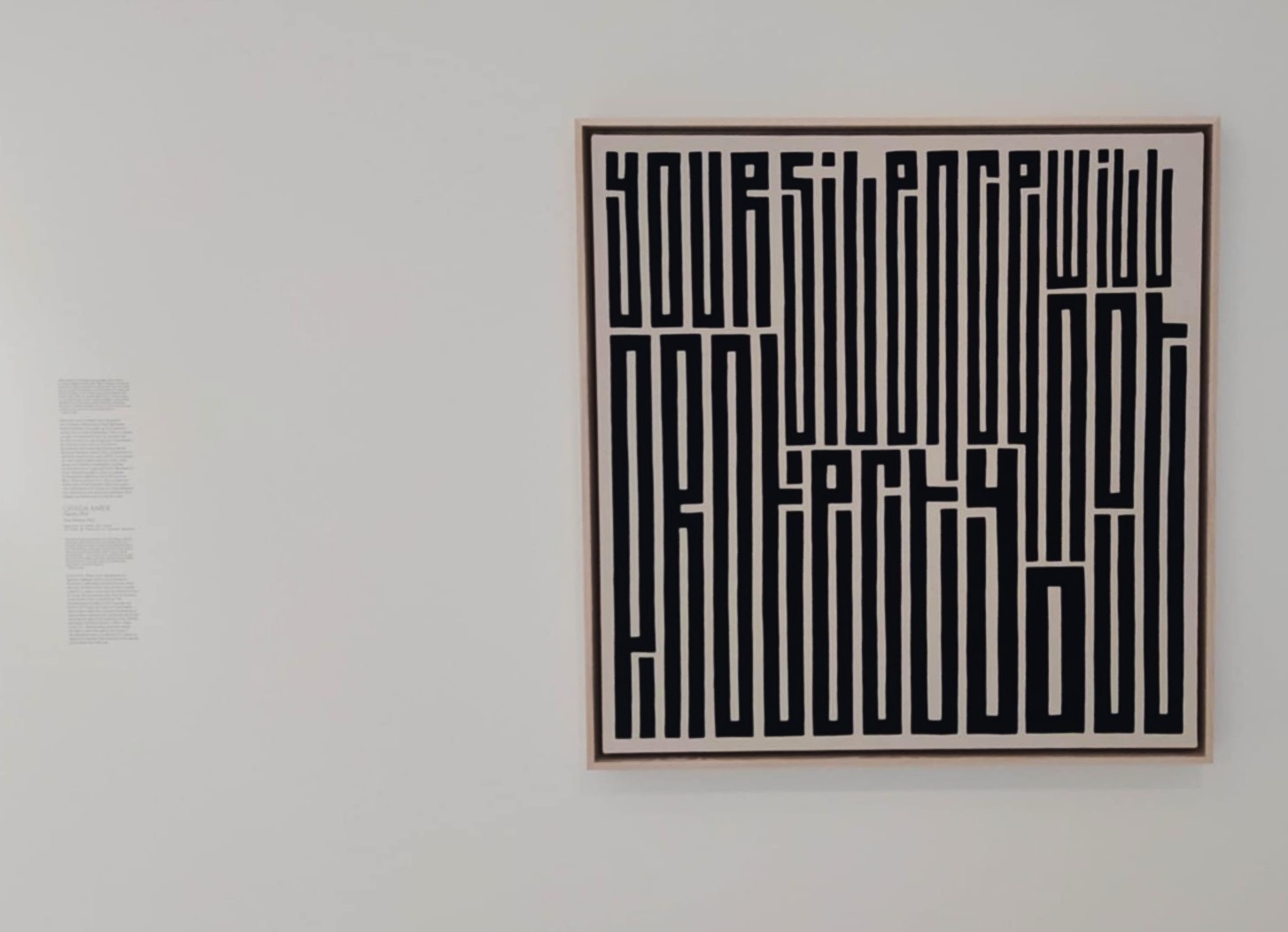 SCHRIVER 2024 Pied il IMG6