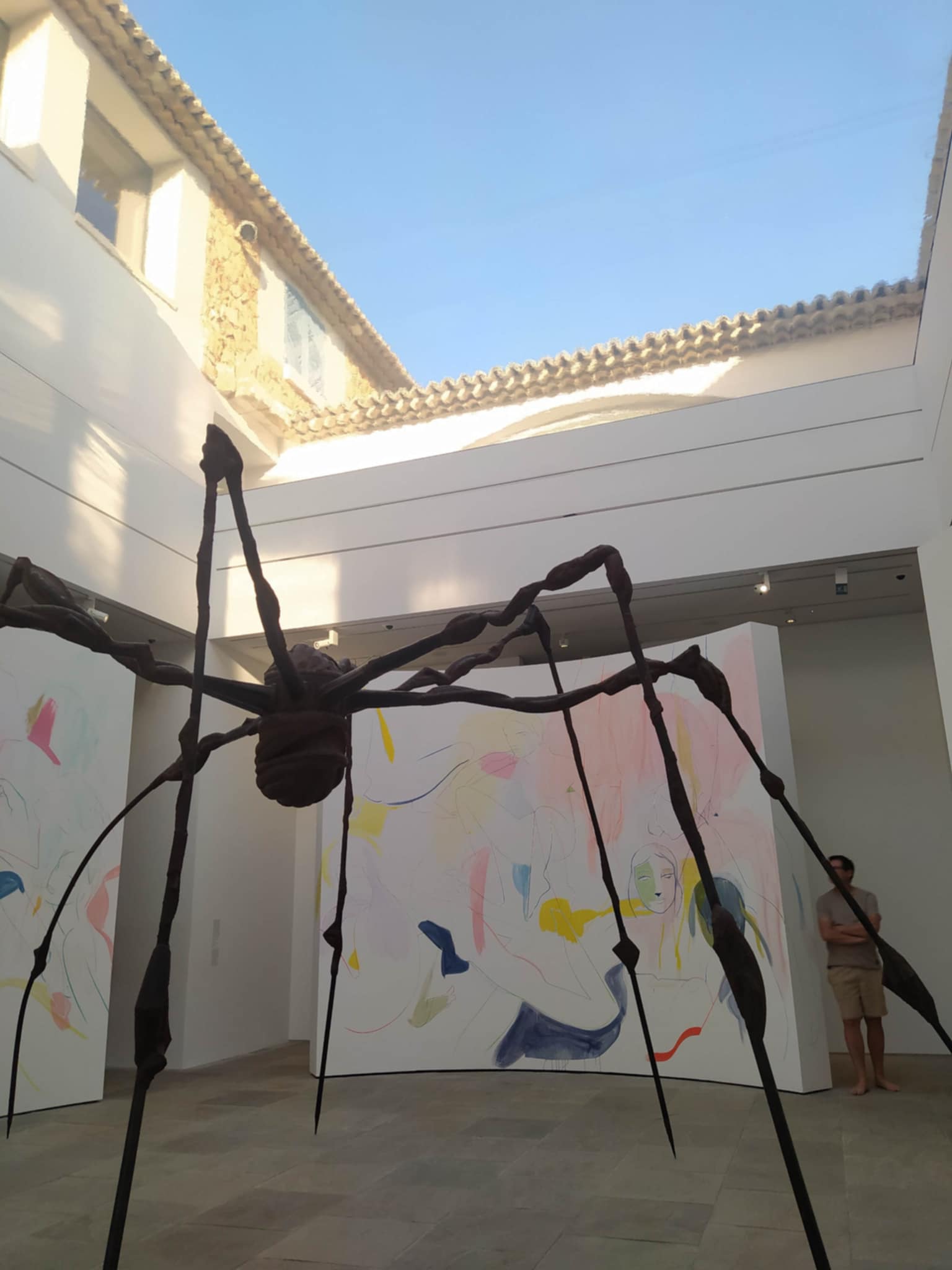 SCHRIVER 2024 Pied il IMG7